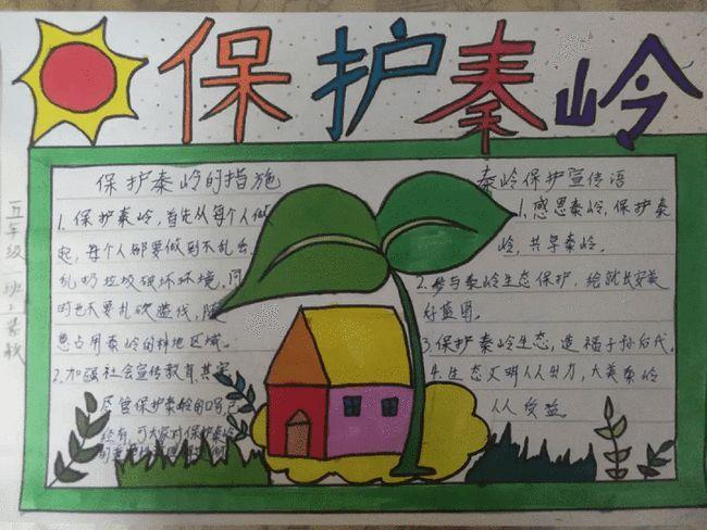 灞桥区东城二小师生在保护秦岭手抄报评比活动中喜获佳绩教育阳光网