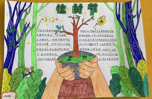 爱树护绿我行动瓦窑镇新世纪小学举行植树节手抄报展评活动