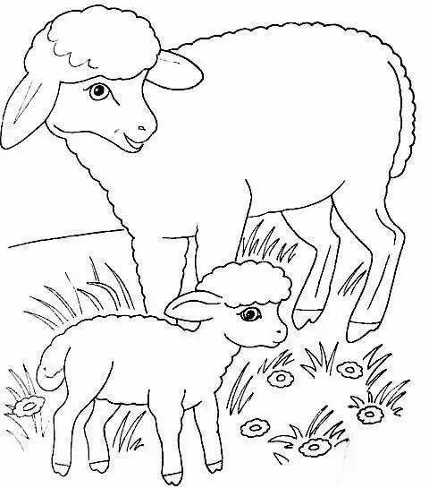 大草原牛羊简笔画图片