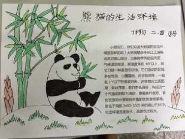 小学三年级熊猫手抄报 小学三年级手抄报