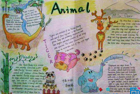 英语的动物世界手抄报 世界动物日手抄报