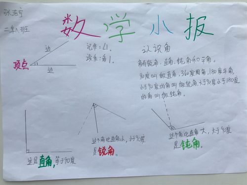 市蒙古族学校二年八班向阳花动感中队数学手抄报《角和图形的知识》