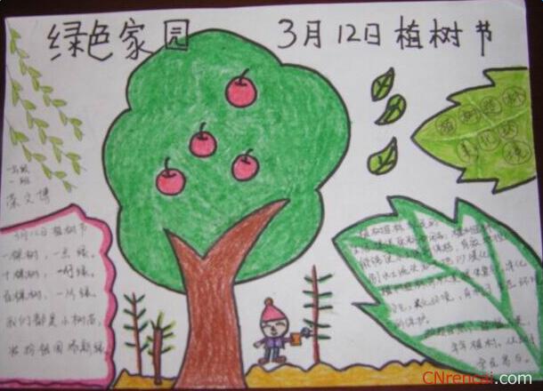 2018年关于小学三年级植树节手抄报好看的图片大全