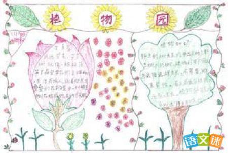 小学生植物园手抄报图片设计