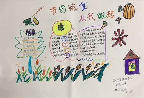 在行动 | 江北嘴实验学校一年级一班爱粮节粮主题 写美篇精美手抄报