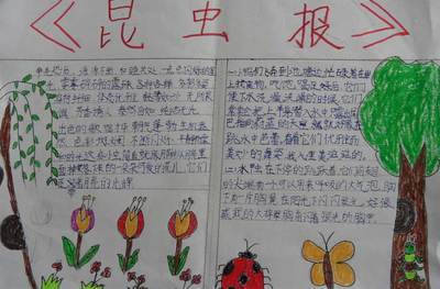 红星照耀中国和昆虫记一起的手抄报 昆虫记手抄报