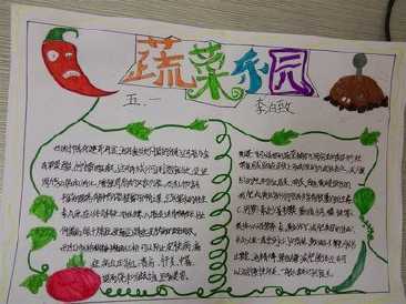 蔬菜种植手抄报图片一年级蔬菜手抄报英语蔬菜手抄报平面设计 其他