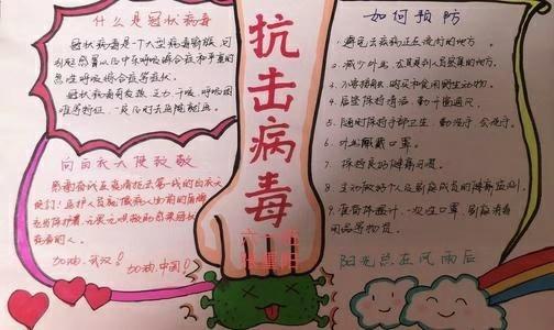 武汉加油中国加油防病毒的手抄报禁毒的手抄报