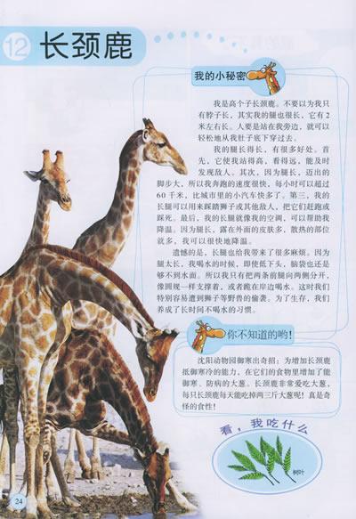 关于长颈鹿英语手抄报关于保护动物 长颈鹿的手抄报图片怎么画简单