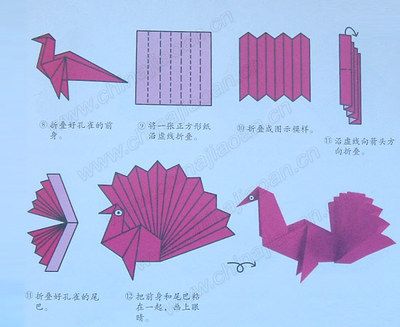 儿童折纸孔雀折纸大全图解 手工折纸大全