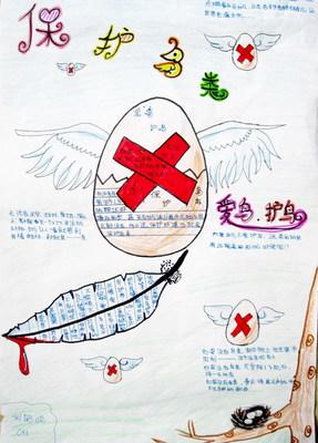 较大八年级鸟专题的手抄报怎么做关于小鸟的手抄报图片保护鸟儿手抄报