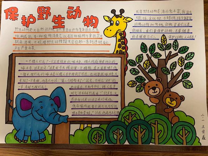 野生动物朋友垦利区三小二年级一班手抄报展示 写美篇 每一个生命都