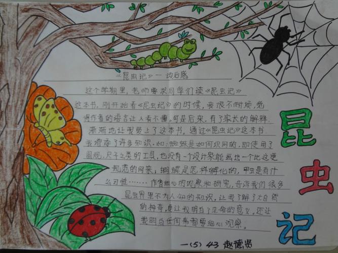 《昆虫记》手抄报a3 - fsmg201305 - 花样童年