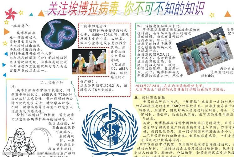 关键词埃博拉 手抄报      相关知识      预防 病毒特征 海报设计