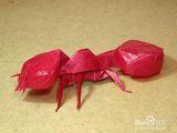 昆虫折纸蚂蚁的折纸图解教程