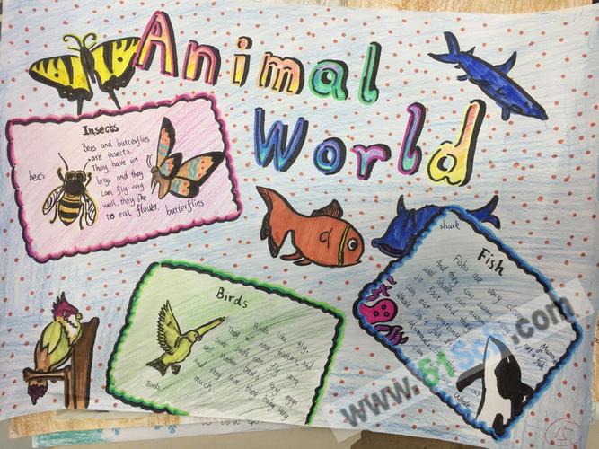 animalworld动物世界英语手抄报